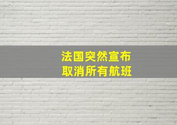 法国突然宣布 取消所有航班